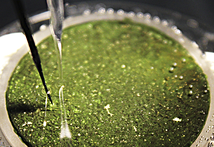 H2S in biofilm_700x480