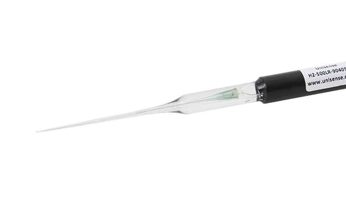 H2 sensor tip_700x400