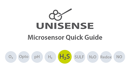 H2S Quick Guide_450x260