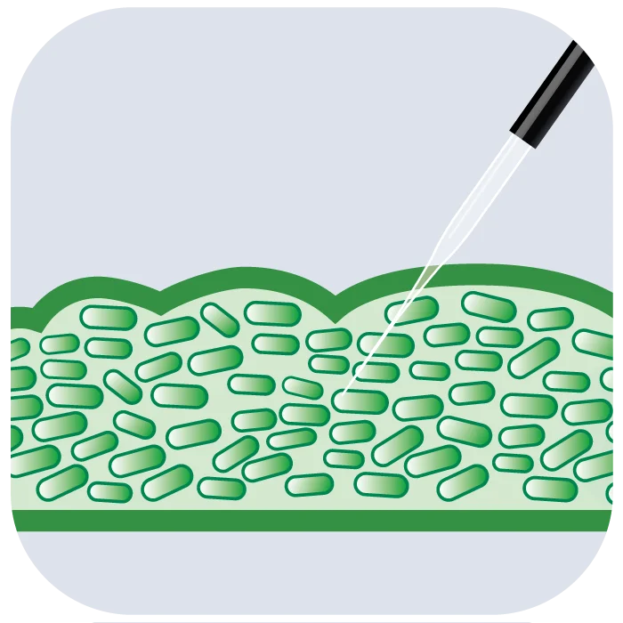 Biofilm