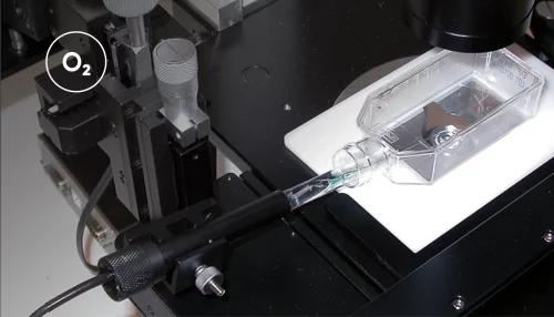 Cell culture profiling_Button Images_Application notes_700x400