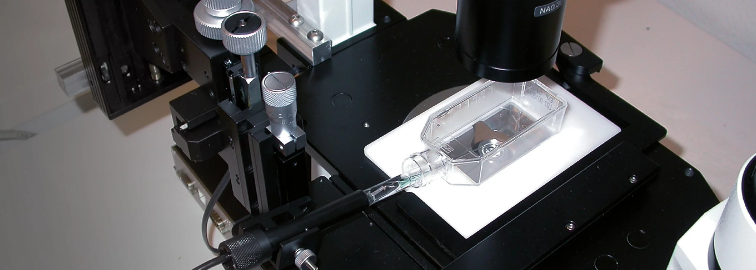 Cell culture profiling_Cover_Application notes_1680x600px