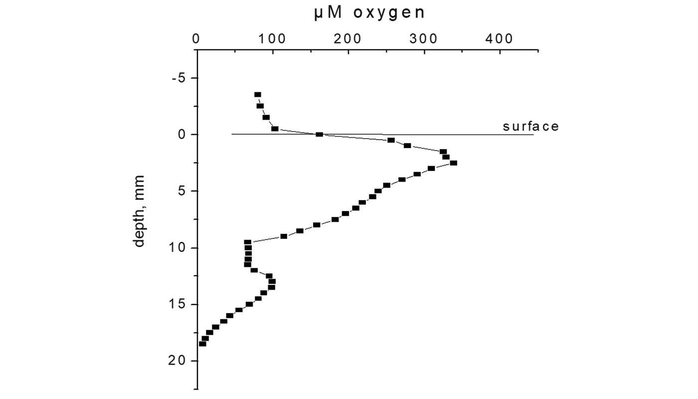 Fig. Rødehavet, Canfield og Ketil_1400x800