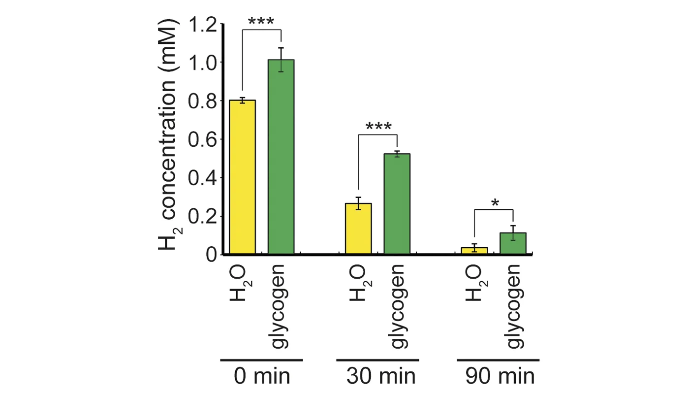H2 drinking water fig. 2_1400x800