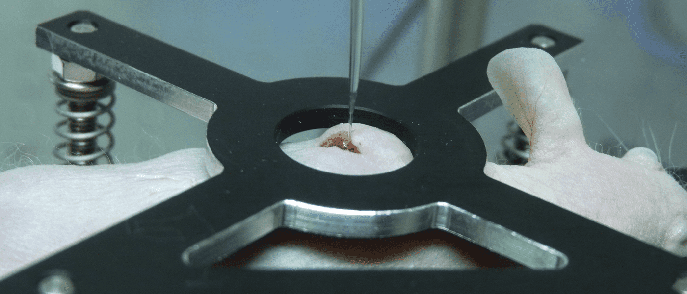 H2 measurements in mice