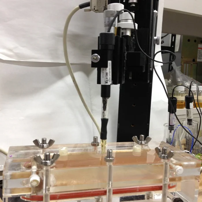 Microsensor1