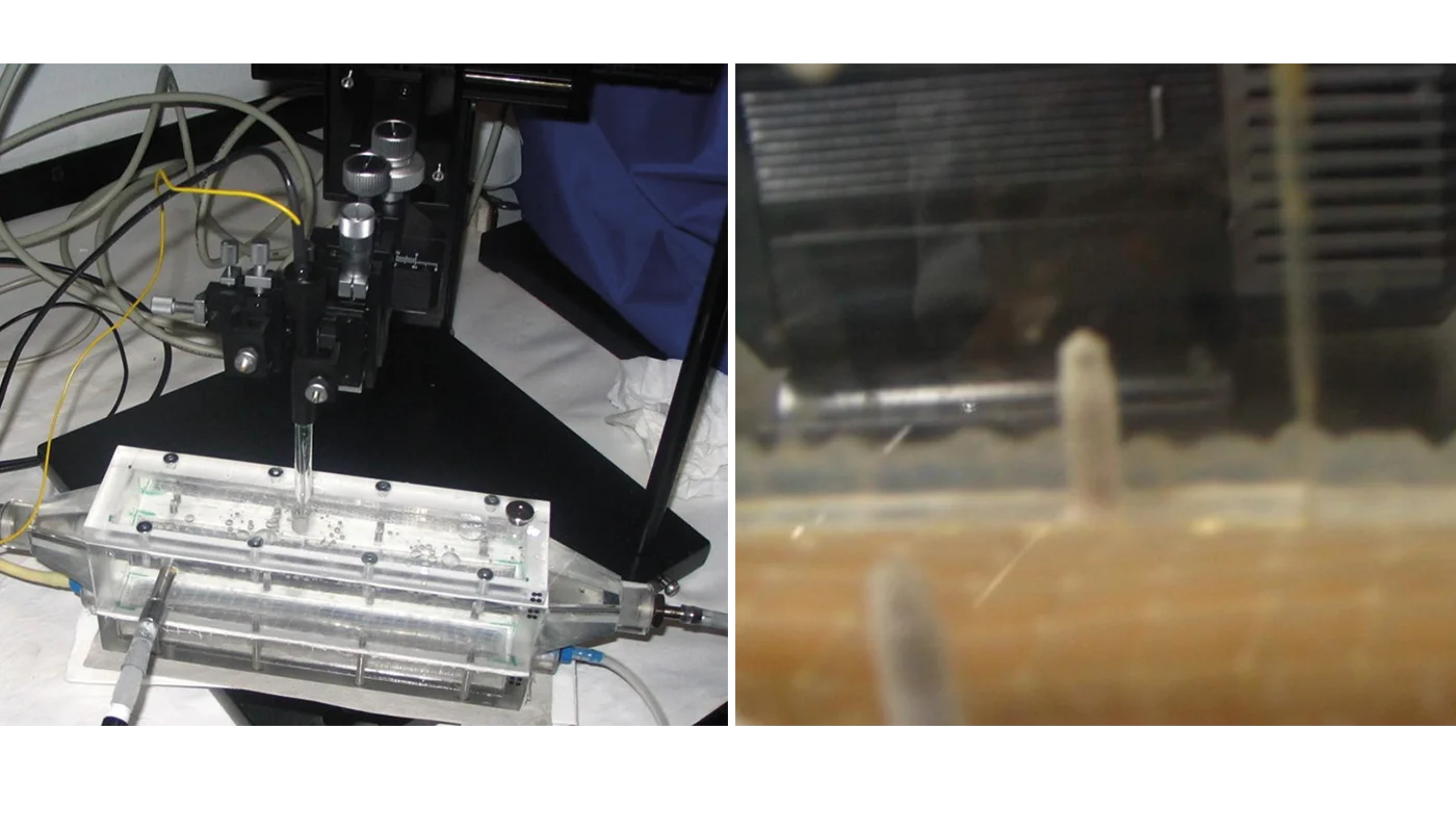 Nitrogen removal in wastewater fig. 2_1400x800