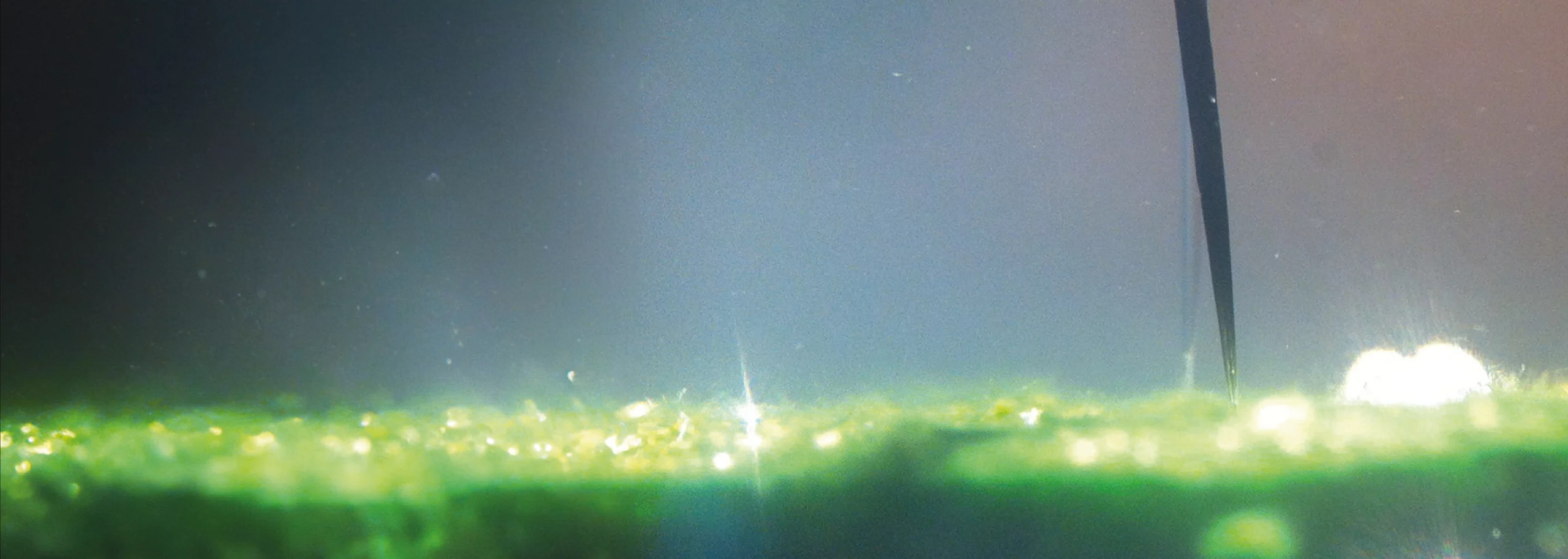 Photosynthetic biofilm_Cover_Application notes_1680x600px