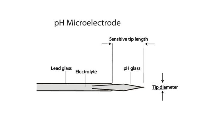 pH tip illustration