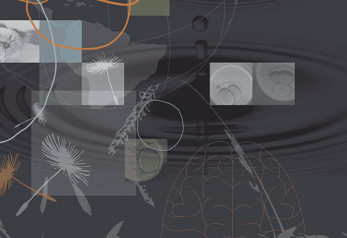 Graphics inspired by nature and science