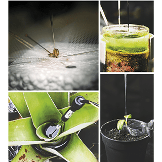 Collage of sensor applications