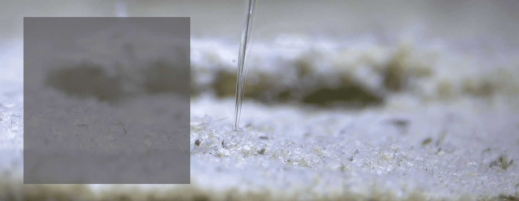 Zeiss sediment cover4_1680x650
