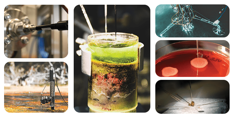 Microsensor workshop collage