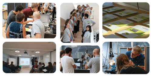 Workshop in-person