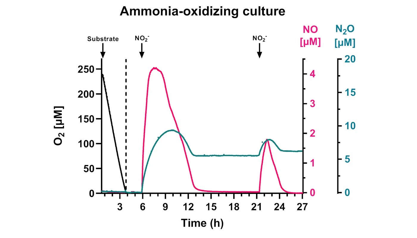 Figure 2_1400x800