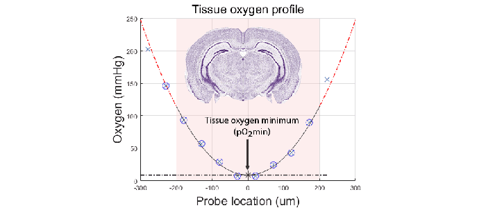 Using tissue oxygen levels to assess ex vivo brain slice quality