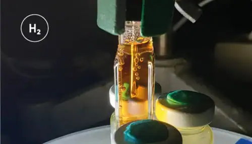 Hydrogen_De Novo Enzyme_Application notes_700x400
