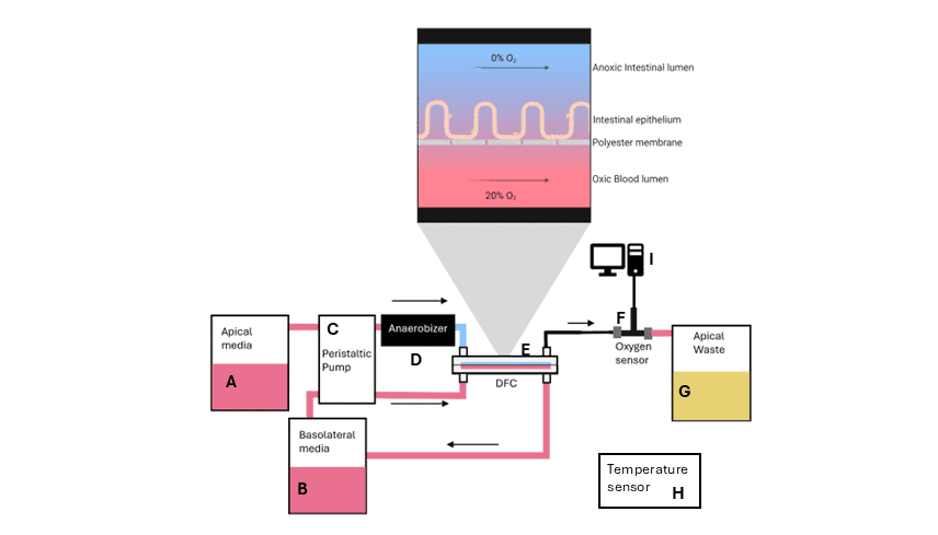 Graphical presentation of the laboratory setup