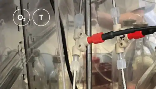 Optodes mounted in lab setup